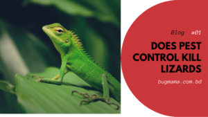 Does Pest Control Kill Lizards