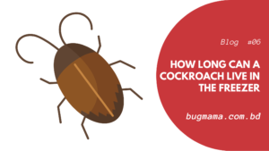 How Long can a Cockroach Live in The Freezer