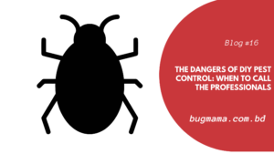 The Dangers of DIY Pest Control: When to Call the Professionals