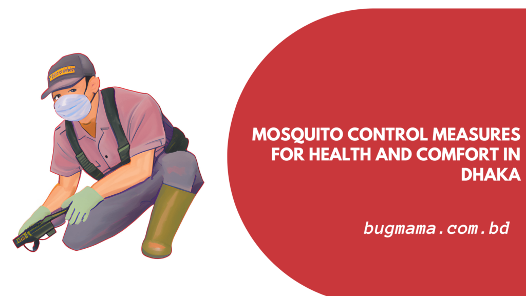 Mosquito Control Measures for Health and Comfort in Dhaka