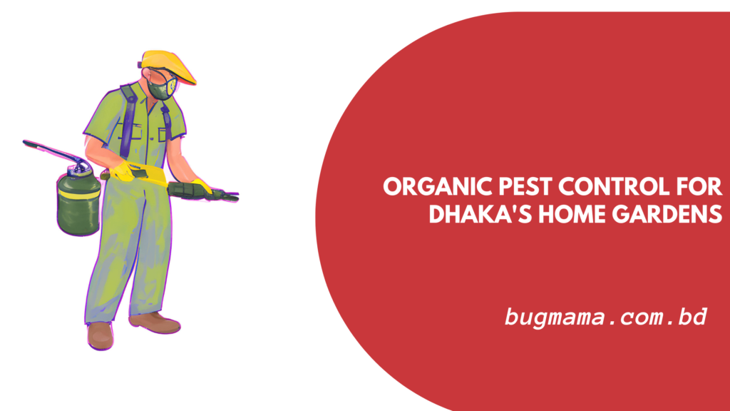 Organic Pest Control for Dhaka's Home Gardens