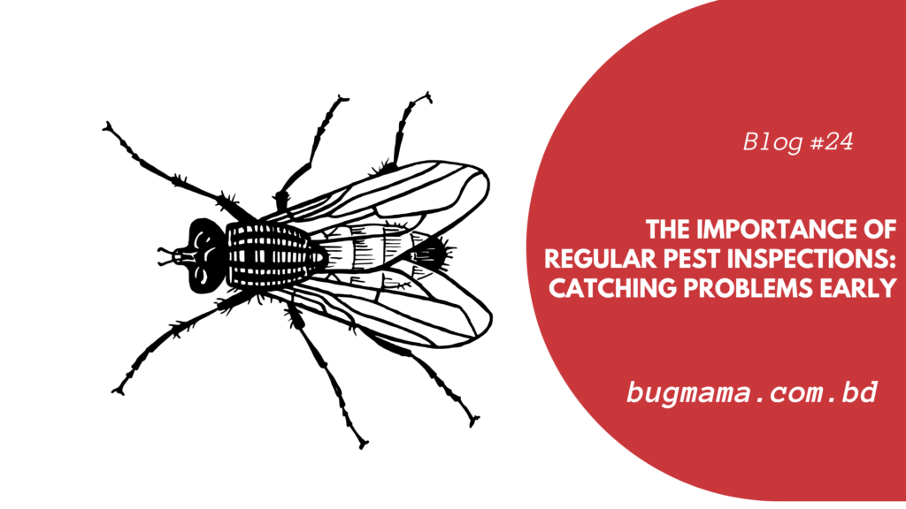 Importance of Regular Pest Inspections